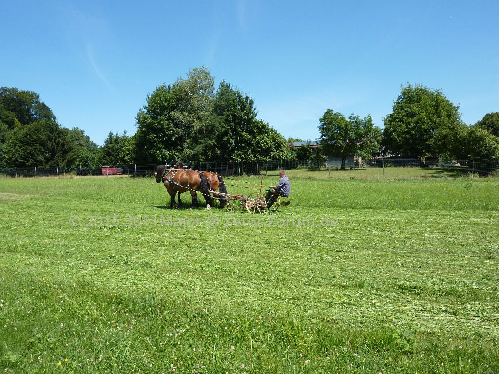 P1050055.JPG