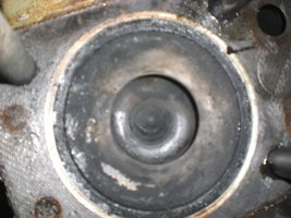 CIMG7391.JPG