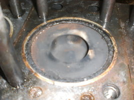 CIMG7395.JPG