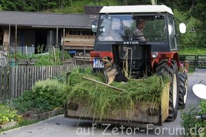 k-IMG_0140.JPG