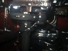 005.JPG 005.JPG