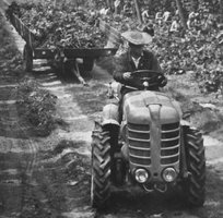zetor_2043.jpg