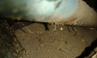 20160401_195549[1].jpg