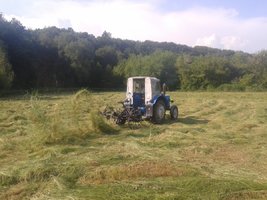 20160605_170328.jpg
