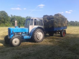 20160610_180336.jpg