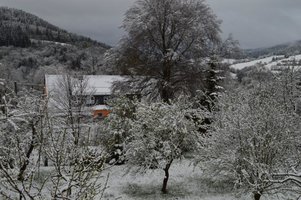 DSC_0002-1.JPG