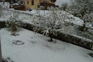 DSC_0004-1.JPG