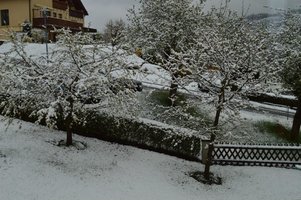 DSC_0005-1.JPG