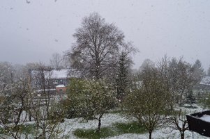 DSC_0007-1.JPG