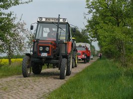 P1380957 (Individuell).JPG