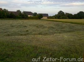 Wiese_1_01.jpg Wiese_1_01.jpg