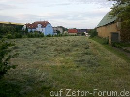 Wiese_2_01.jpg Wiese_2_01.jpg