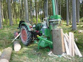 P1010963 (2).jpg