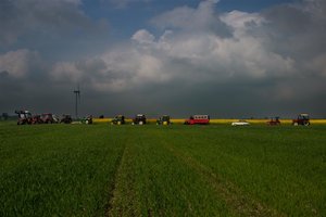 IMG_7245 (Mittel).jpg IMG_7245 (Mittel).jpg
