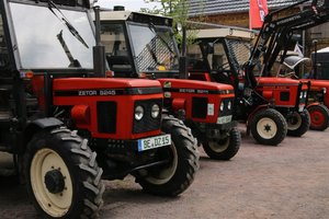 IMG_7185 (Mittel).JPG IMG_7185 (Mittel).JPG