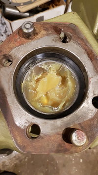 20170918_101853.jpg