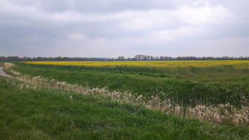 20170503_105505.jpg 20170503_105505.jpg