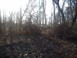 DSC_0379.jpg