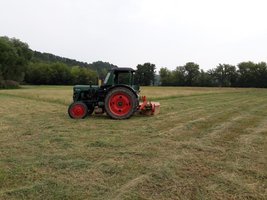 rps20180725_110849.jpg