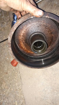 20190722_204039.jpg