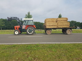20170727_085429.jpg