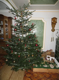 IMG_3249.JPG IMG_3249.JPG
