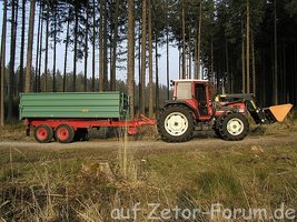 Holz holen.jpg