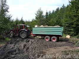 Brennholz abfahren.jpg