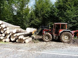 Holz Rücken 3.jpg