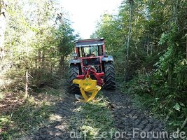 Holz Rücken 6.jpg