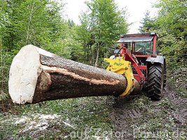 Holz Rücken 4.jpg