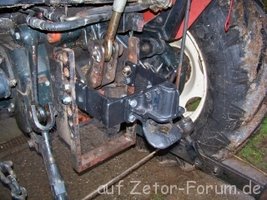100_0063.web.jpg