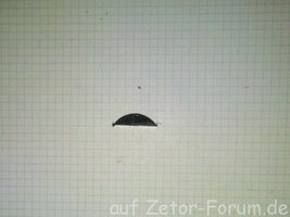 Limaumbau_03.jpg