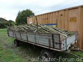 ist auch Brennholz.jpg