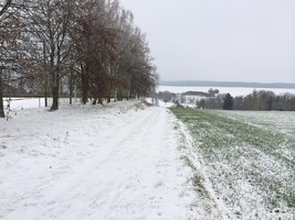 IMG_0568[1].JPG