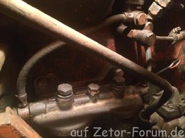 IMG_0560[1].JPG