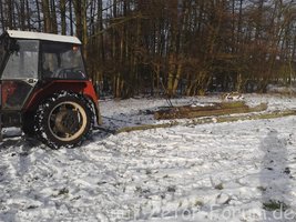Holz 2014 (1).jpg Holz 2014 (1).jpg