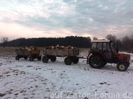 Holz 2014 (5).jpg Holz 2014 (5).jpg