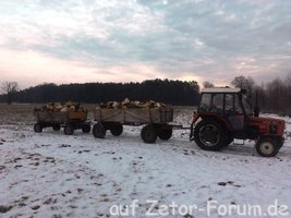 Holz 2014 (5).jpg