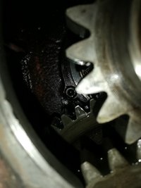 IMG_20200617_180803.jpg