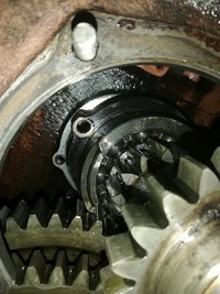 IMG_20200617_194135.jpg