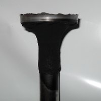 SDC13101.JPG