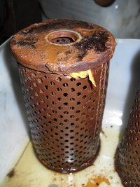 SDC13135.JPG