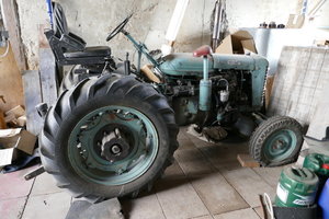 P1000083.JPG