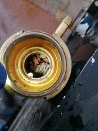 IMG_20210224_082040.jpg