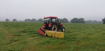 IMG_20210716_084755.jpg