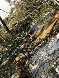 35299973-DC3A-424F-A018-C1B6D8A4A3D0.jpeg