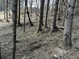 E5514E89-4DF8-4D5D-A698-A59C30C4C21A.jpeg
