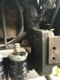 IMG_20220605_161208.jpg