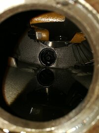 IMG_20220623_134438.jpg